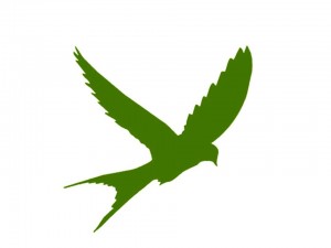 bird3