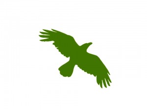 bird4